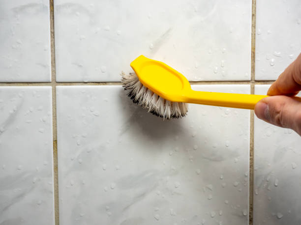 Mold Removal Process in Pecan Plantation, TX