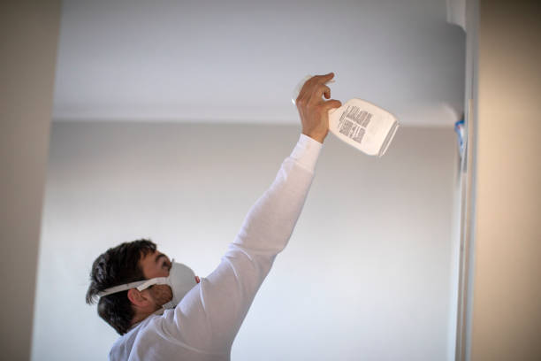 Best Mold Removal Company Near Me  in Pecan Plantation, TX