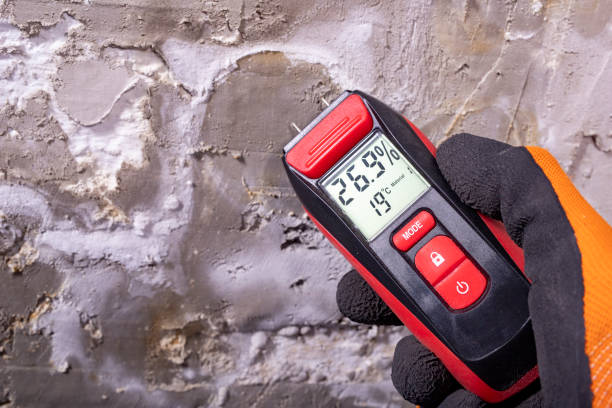 Best Affordable Mold Removal  in Pecan Plantation, TX