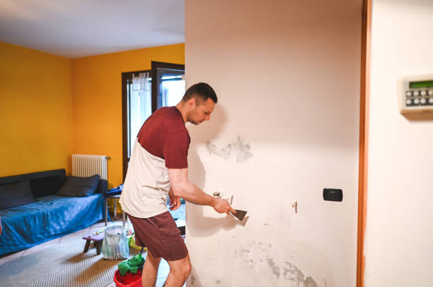 Best Attic Mold Removal  in Pecan Plantation, TX
