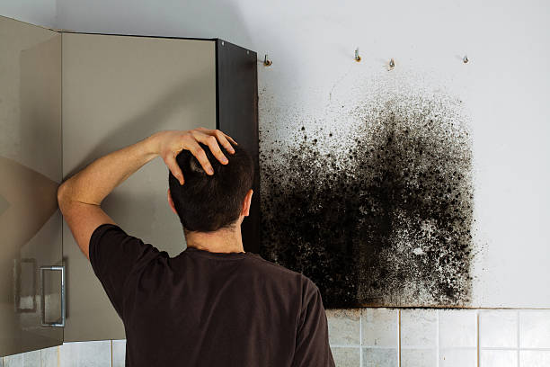 Best Crawl Space Mold Removal  in Pecan Plantation, TX
